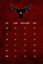 Spider Pro T-shirt